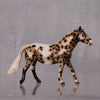 Marimba OOAK Appaloosa Custom Pony Chip By Andrea Thomason LHS24 MHP