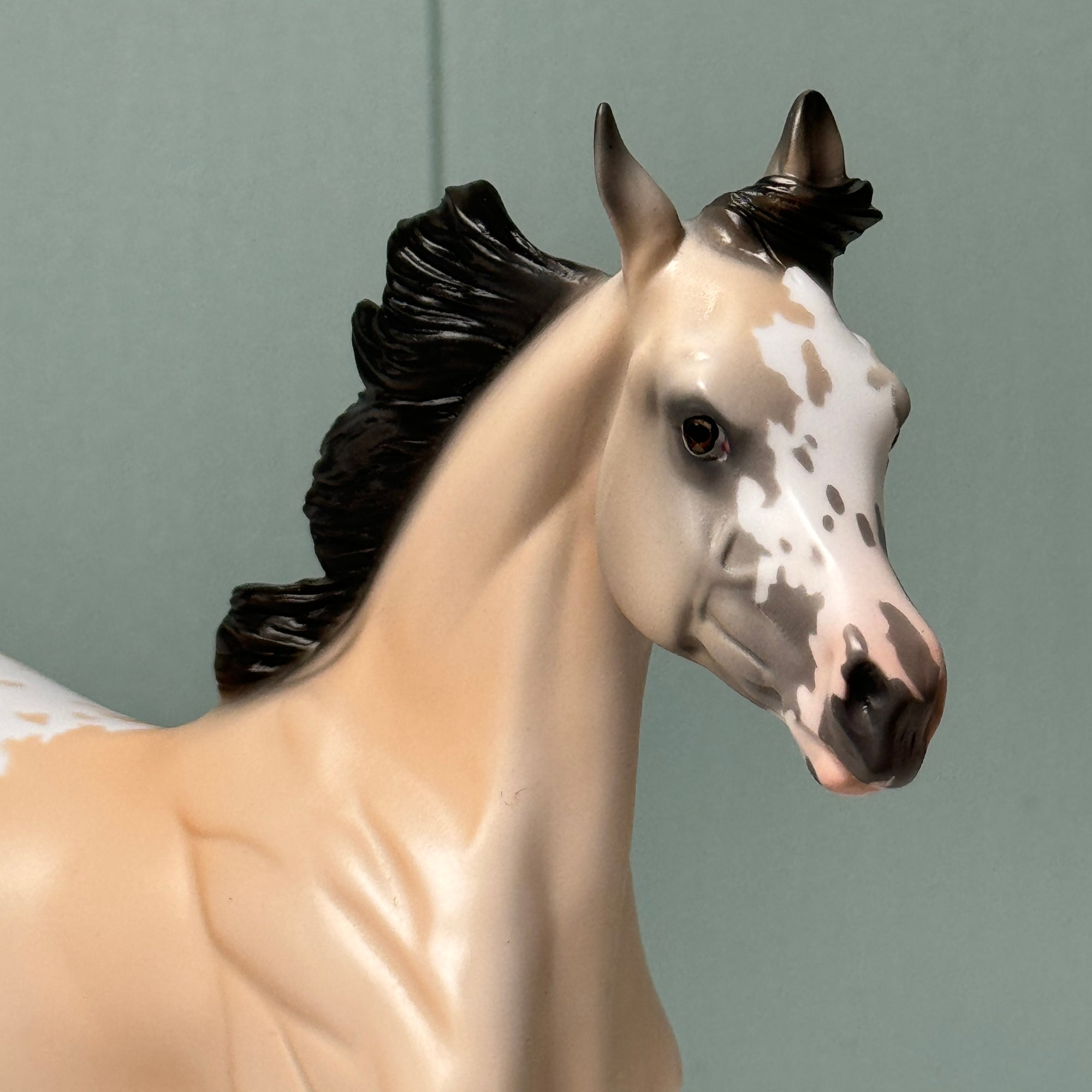 Rae OOAK Buckskin Appaloosa Yearling By Jess Hamill EQ24