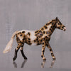 Marimba OOAK Appaloosa Custom Pony Chip By Andrea Thomason LHS24 MHP