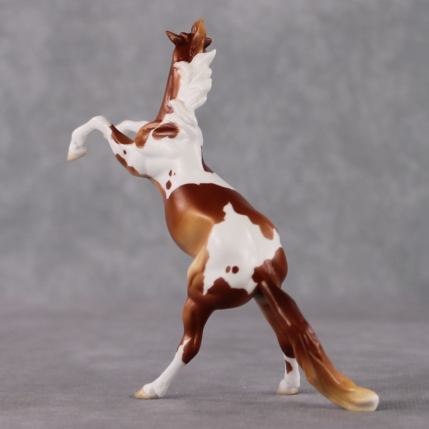 Rearing Chip Grab Bag - January 2025 We've Got History Shakespeare Chips Painted By Ellen Robbins CL25