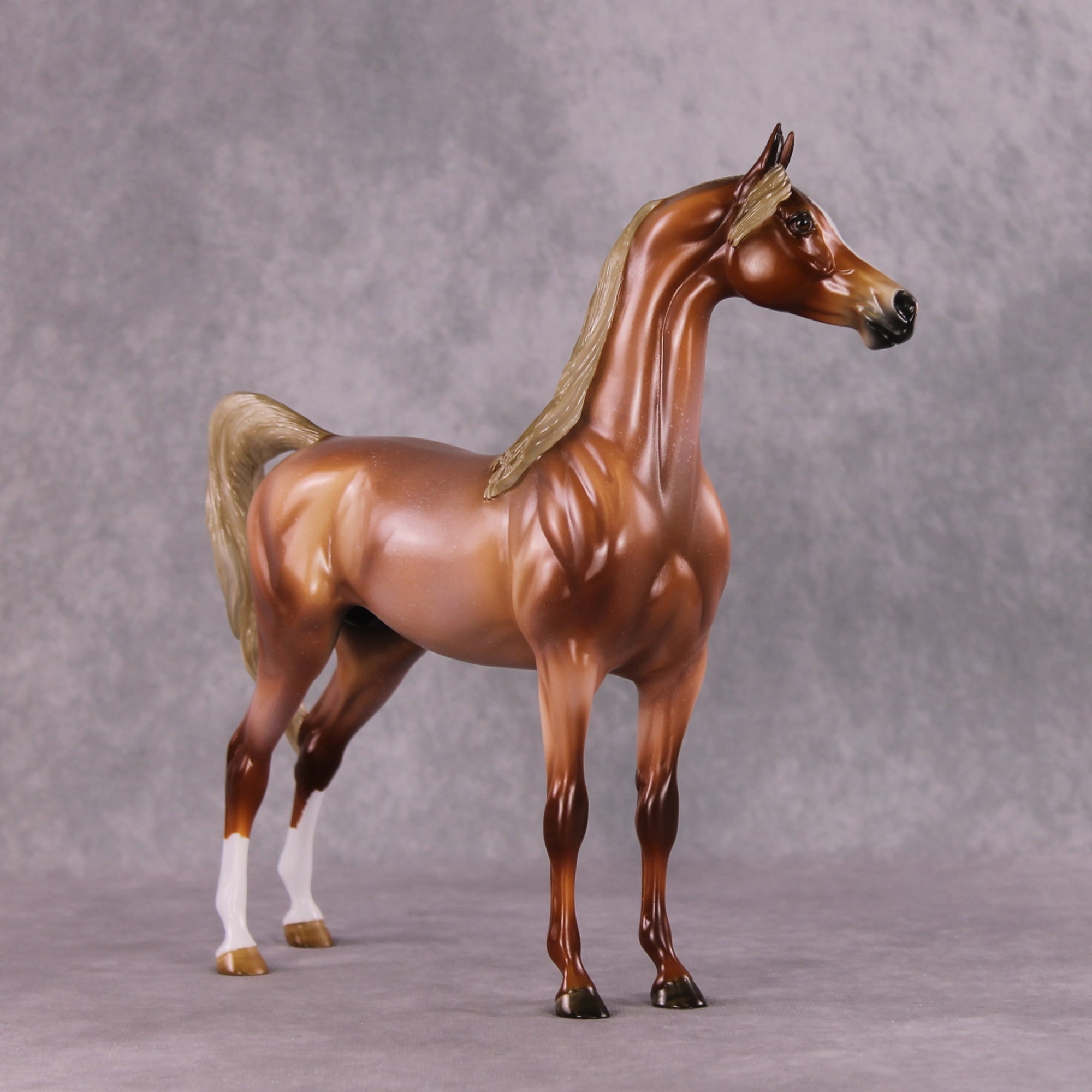 "Scampi" OOAK Arabian by Angela Marleau SHCF25OS