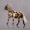 Marimba OOAK Appaloosa Custom Pony Chip By Andrea Thomason LHS24 MHP