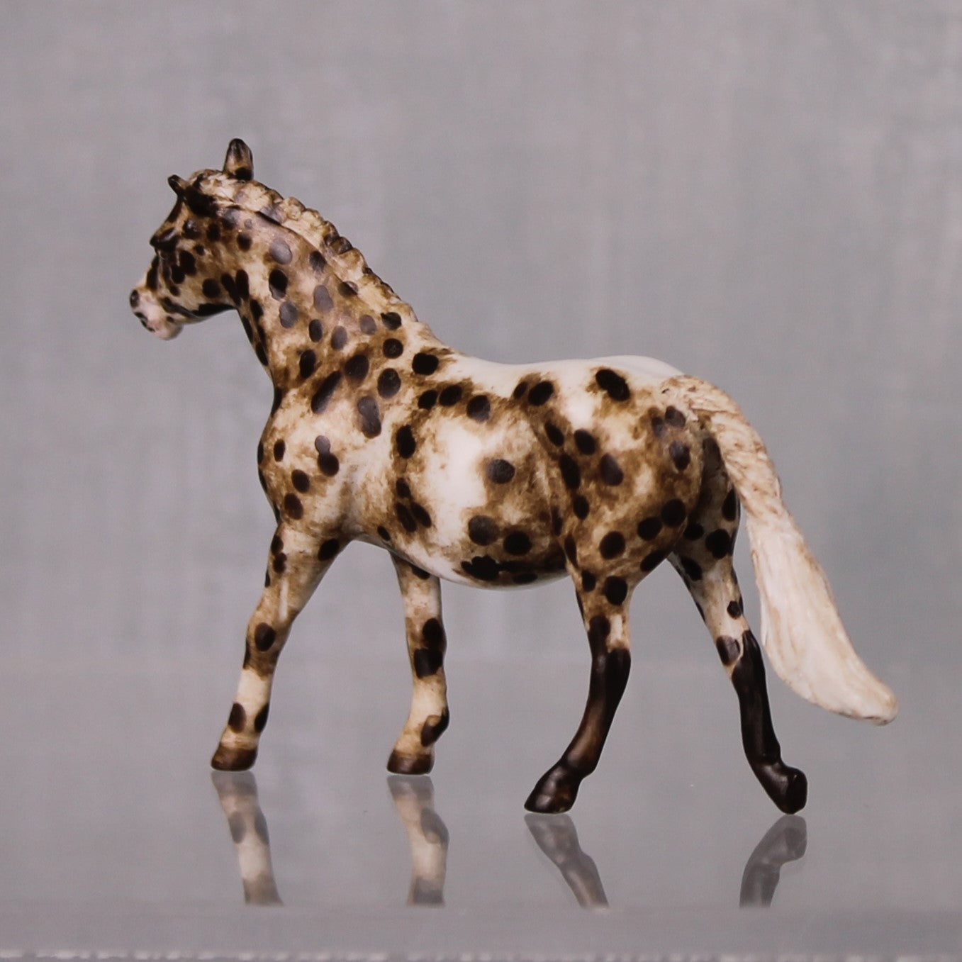 Marimba OOAK Appaloosa Custom Pony Chip By Andrea Thomason LHS24 MHP