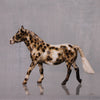 Marimba OOAK Appaloosa Custom Pony Chip By Andrea Thomason LHS24 MHP