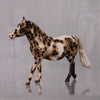 Marimba OOAK Appaloosa Custom Pony Chip By Andrea Thomason LHS24 MHP