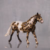 Marimba OOAK Appaloosa Custom Pony Chip By Andrea Thomason LHS24 MHP