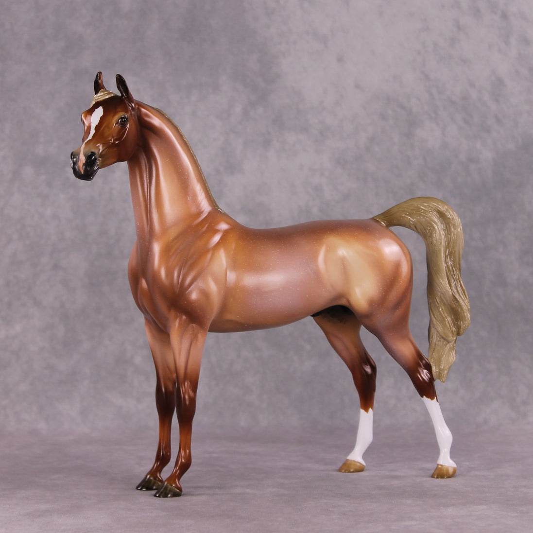 "Scampi" OOAK Arabian by Angela Marleau SHCF25OS