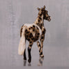 Marimba OOAK Appaloosa Custom Pony Chip By Andrea Thomason LHS24 MHP