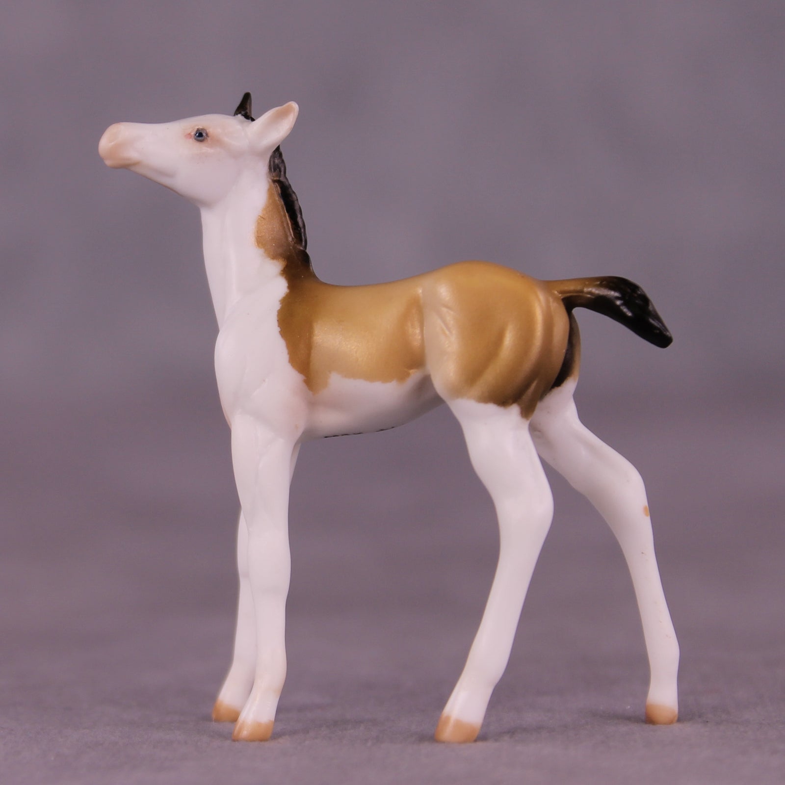 Not A Lot, Just Forever OOAK Chip Foal by Julie Keim LHS25