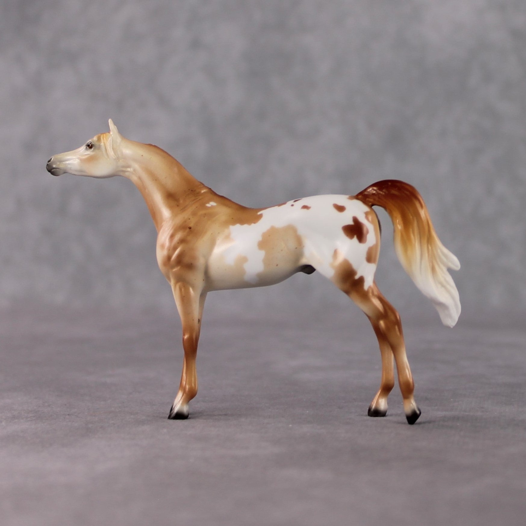 Arabian Chip Grab Bag - January 2025 We've Got History Shakespeare Chips Painted By Ellen Robbins CL25