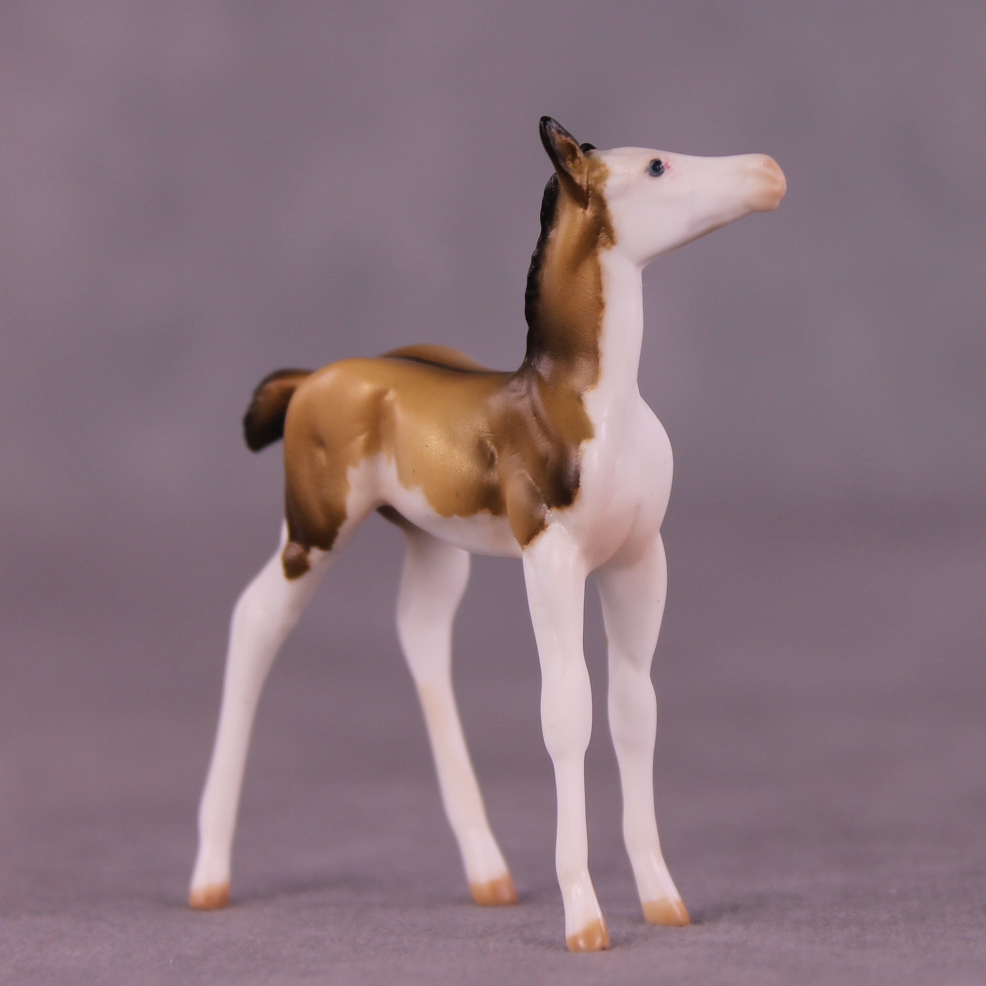 Not A Lot, Just Forever OOAK Chip Foal by Julie Keim LHS25