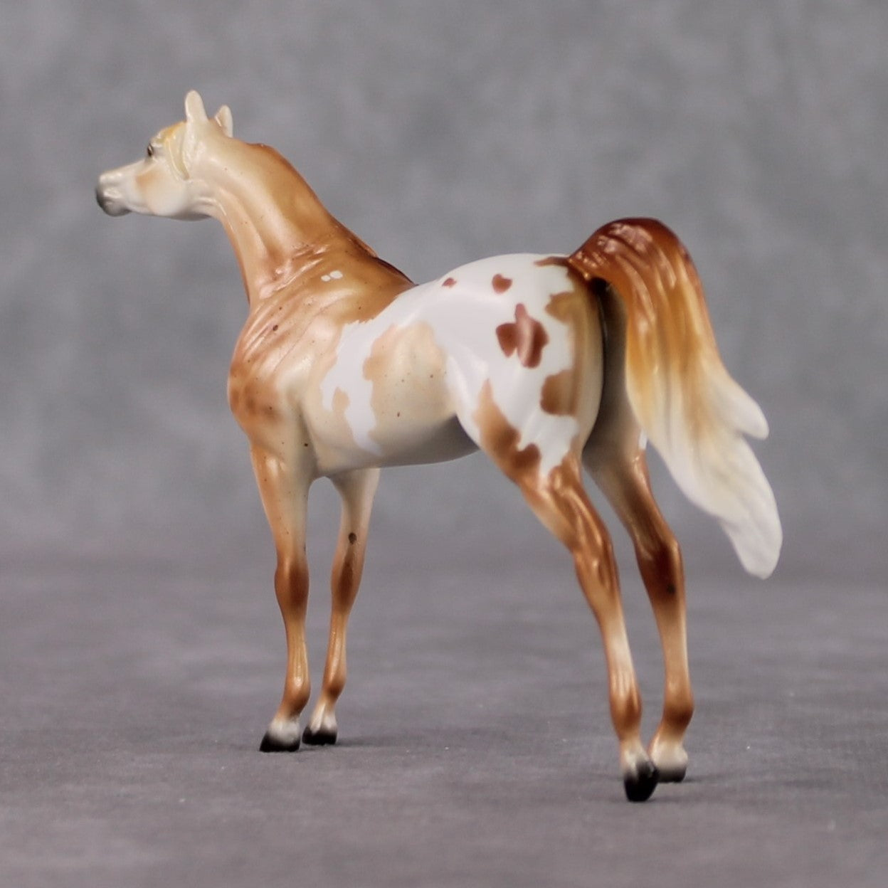 Arabian Chip Grab Bag - January 2025 We've Got History Shakespeare Chips Painted By Ellen Robbins CL25