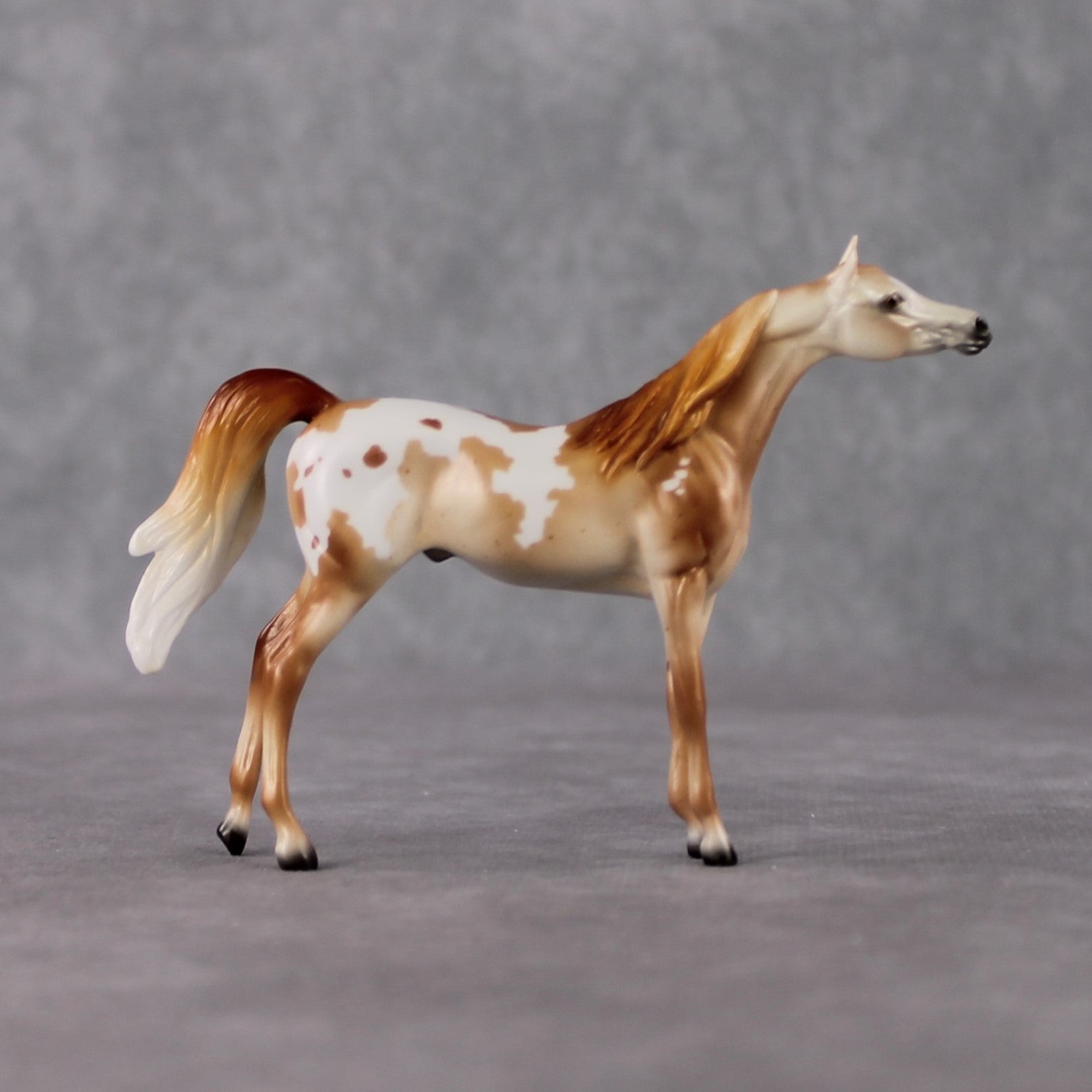 Arabian Chip Grab Bag - January 2025 We've Got History Shakespeare Chips Painted By Ellen Robbins CL25