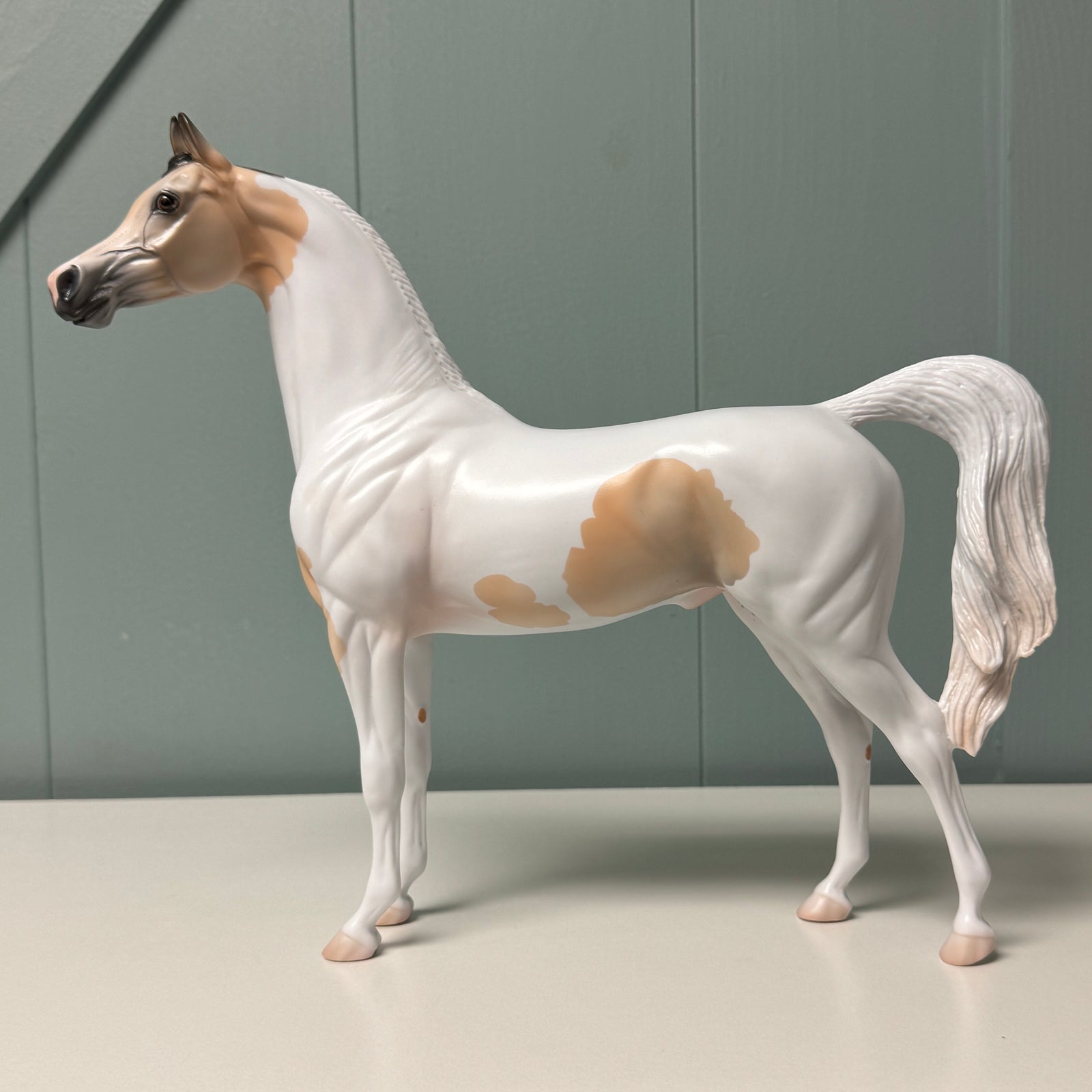 Eli OOAK Buckskin Pinto Arabian By Jess Hamill EQ24