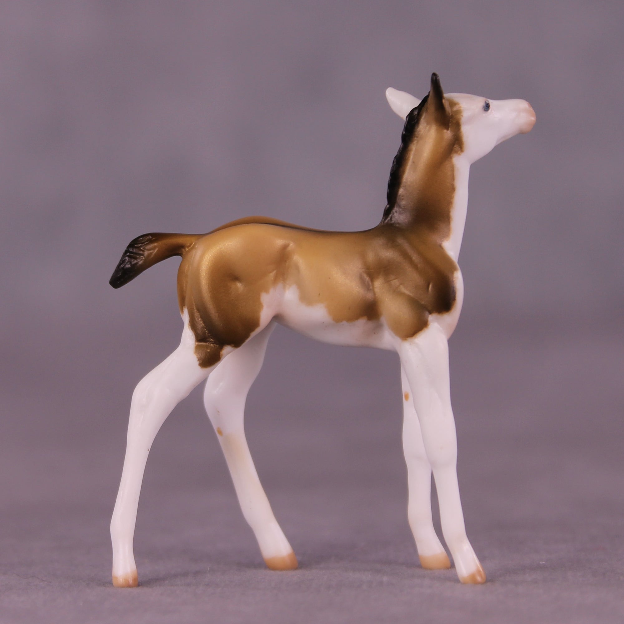 Not A Lot, Just Forever OOAK Chip Foal by Julie Keim LHS25