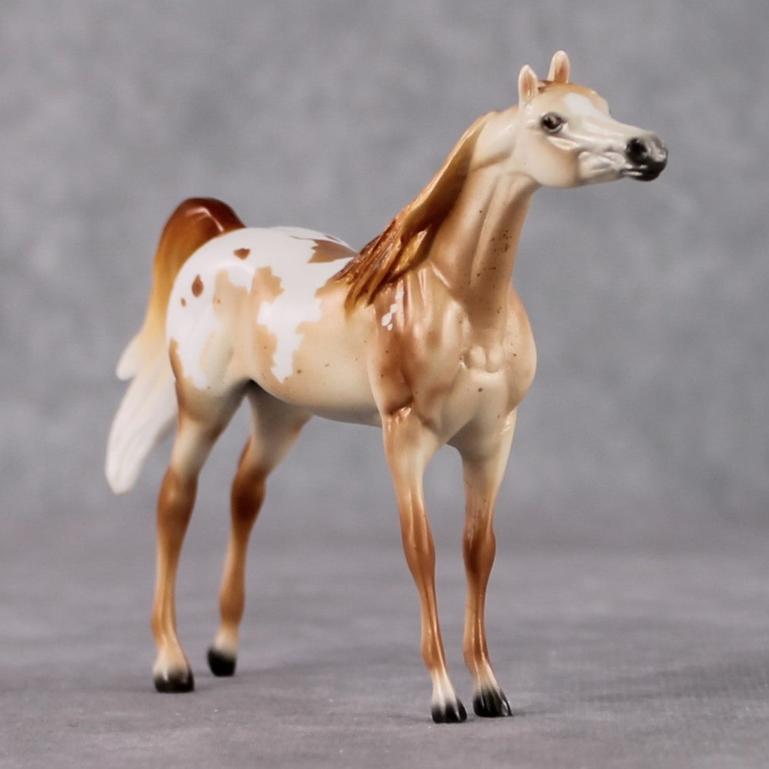 Arabian Chip Grab Bag - January 2025 We've Got History Shakespeare Chips Painted By Ellen Robbins CL25