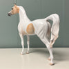 Eli OOAK Buckskin Pinto Arabian By Jess Hamill EQ24