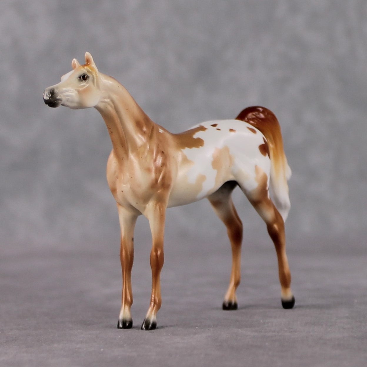 Arabian Chip Grab Bag - January 2025 We've Got History Shakespeare Chips Painted By Ellen Robbins CL25