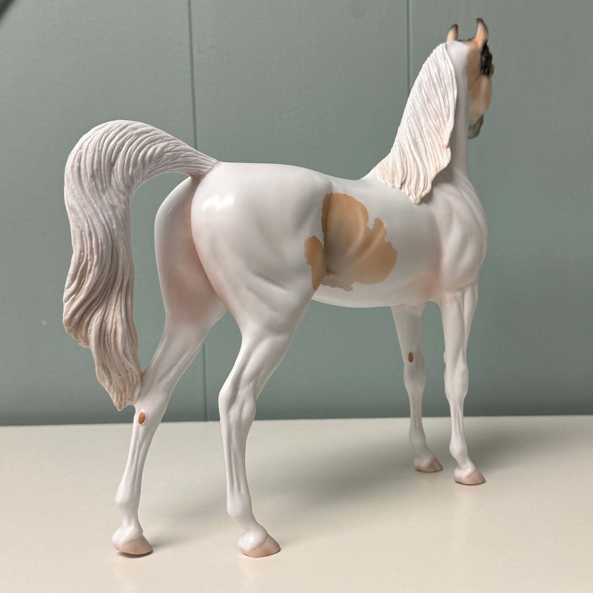 Eli OOAK Buckskin Pinto Arabian By Jess Hamill EQ24