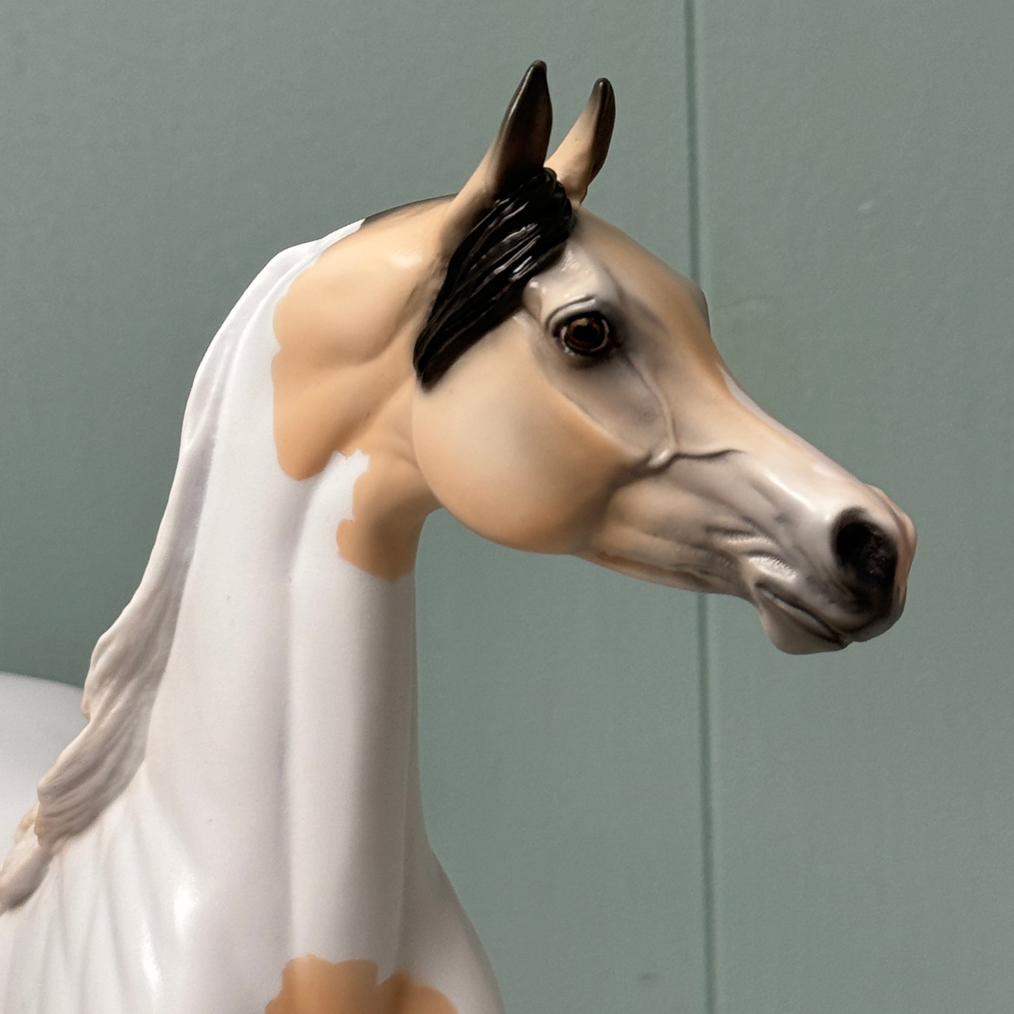 Eli OOAK Buckskin Pinto Arabian By Jess Hamill EQ24