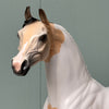 Eli OOAK Buckskin Pinto Arabian By Jess Hamill EQ24
