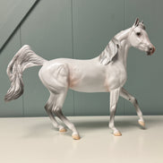 Adelaide OOAK Gray Pearl Arabian Mare By Jess Hamill EQ24