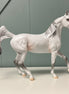 Adelaide OOAK Gray Pearl Arabian Mare By Jess Hamill EQ24