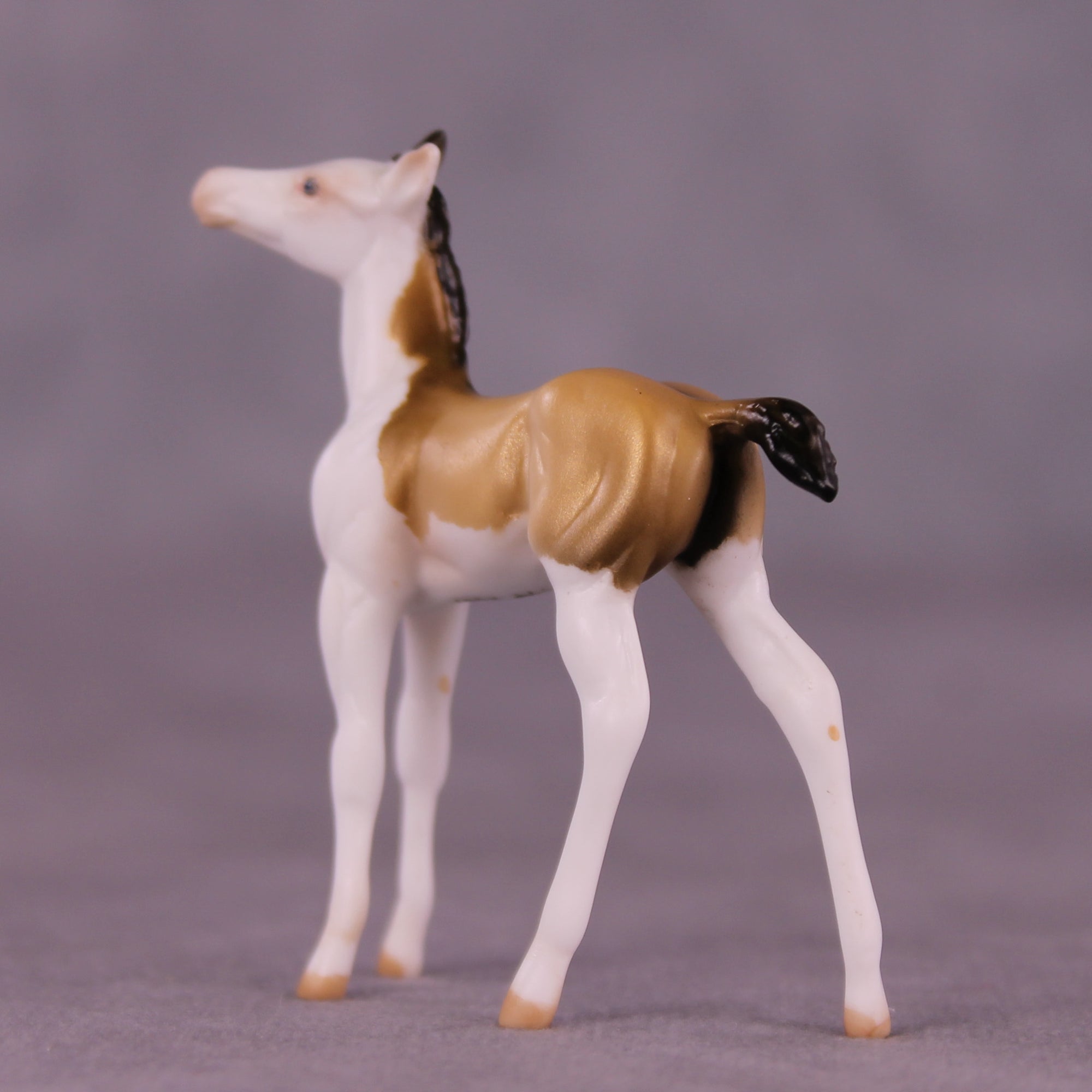 Not A Lot, Just Forever OOAK Chip Foal by Julie Keim LHS25