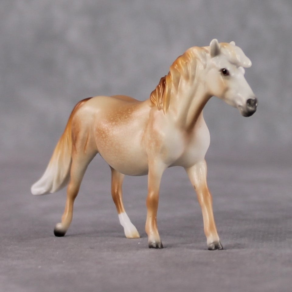 Pony Chip Grab Bag - January 2025 We've Got History Shakespeare Chips Painted By Ellen Robbins CL25