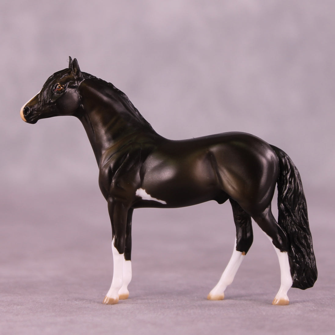 "All Star" OOAK Andalusian Chip by Julie Keim  EQ25