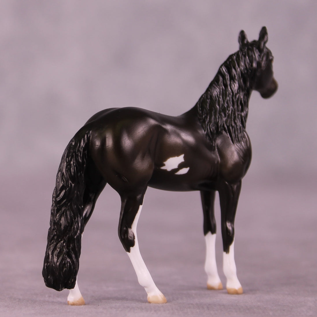 "All Star" OOAK Andalusian Chip by Julie Keim  EQ25