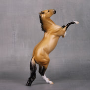 Ain't Dun Yet OOAK Lightly Dappled Dun Rearing Pebble By Ellen Robbins LHS24 MHP