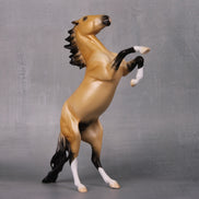Ain't Dun Yet OOAK Lightly Dappled Dun Rearing Pebble By Ellen Robbins LHS24 MHP