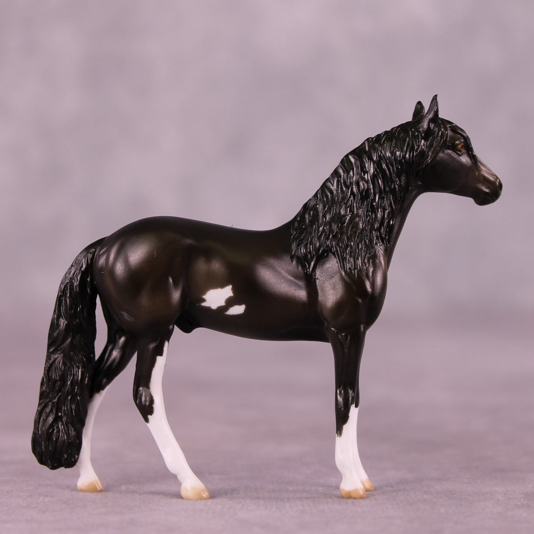 "All Star" OOAK Andalusian Chip by Julie Keim  EQ25