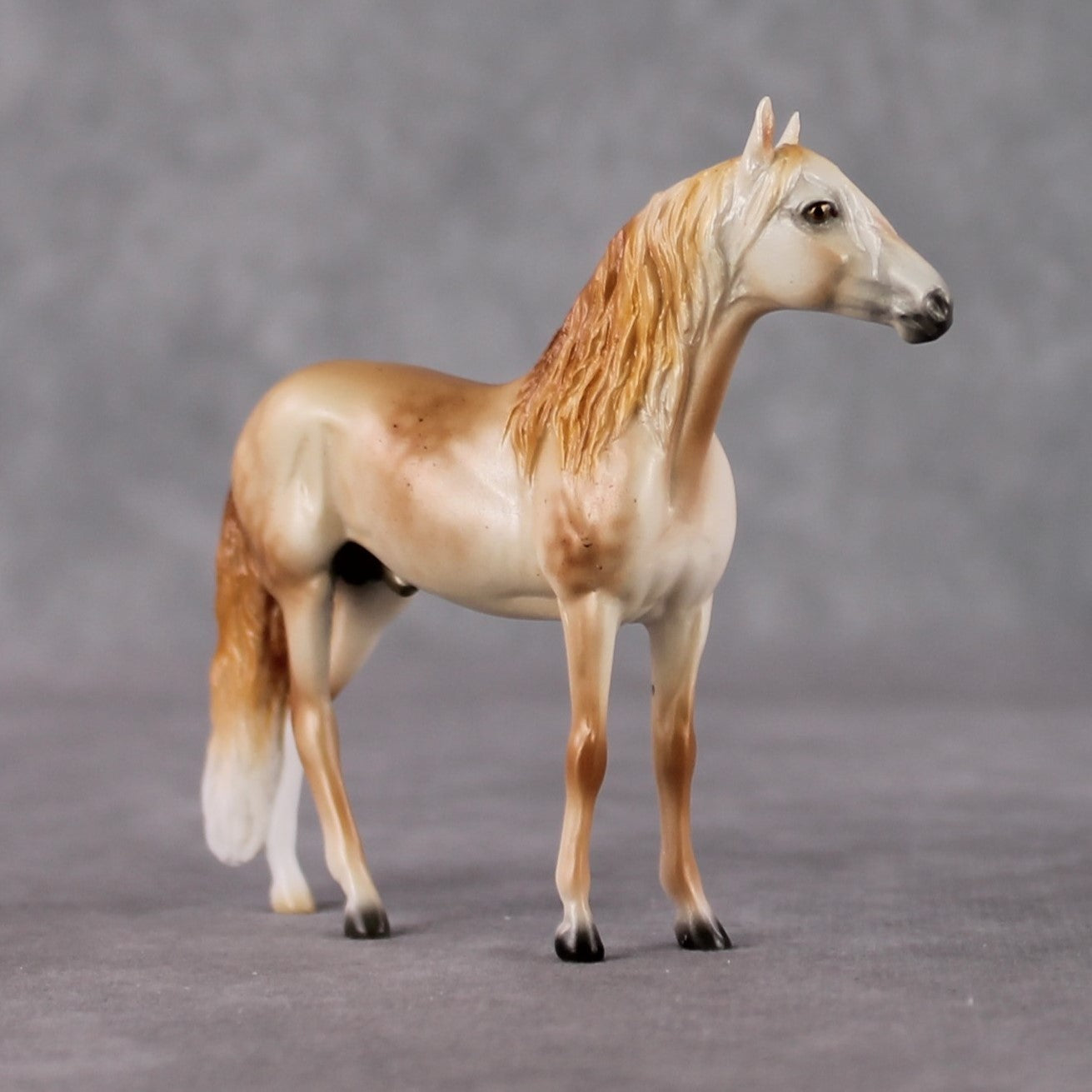 Andalusian Chip Grab Bag - January 2025 We've Got History Shakespeare Chips Painted By Ellen Robbins CL25