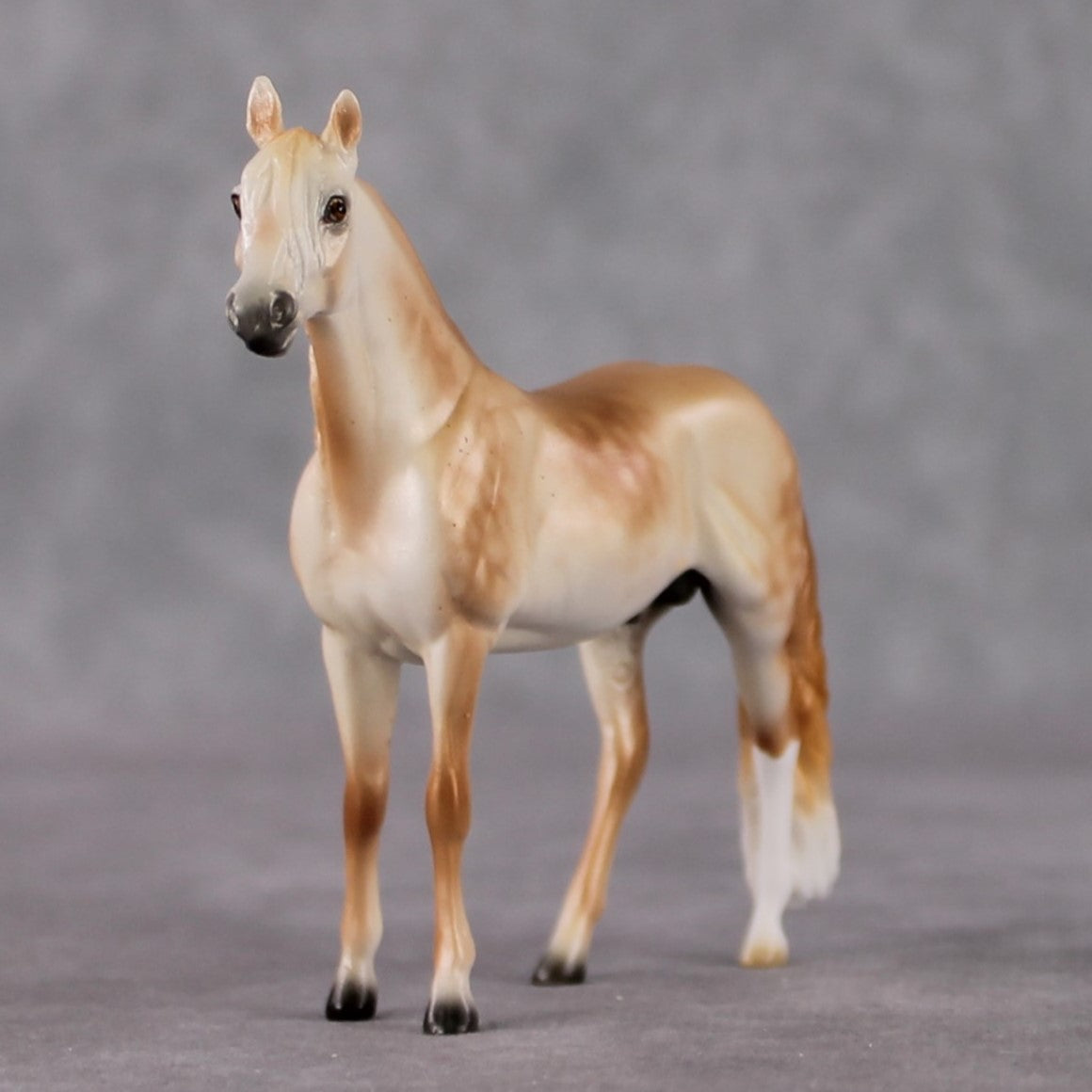 Andalusian Chip Grab Bag - January 2025 We've Got History Shakespeare Chips Painted By Ellen Robbins CL25