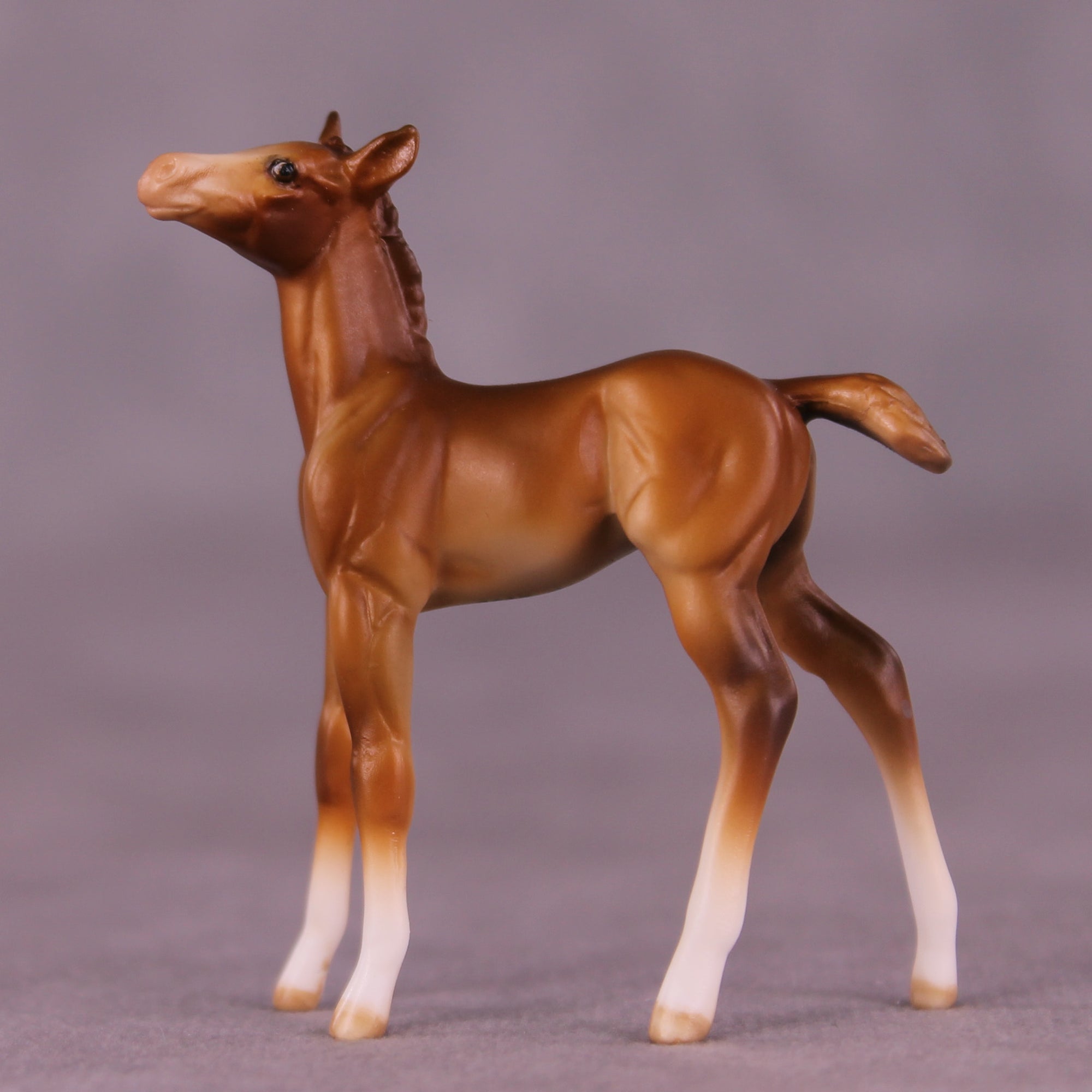 Paul OOAK Chip Foal by Julie Keim LHS25