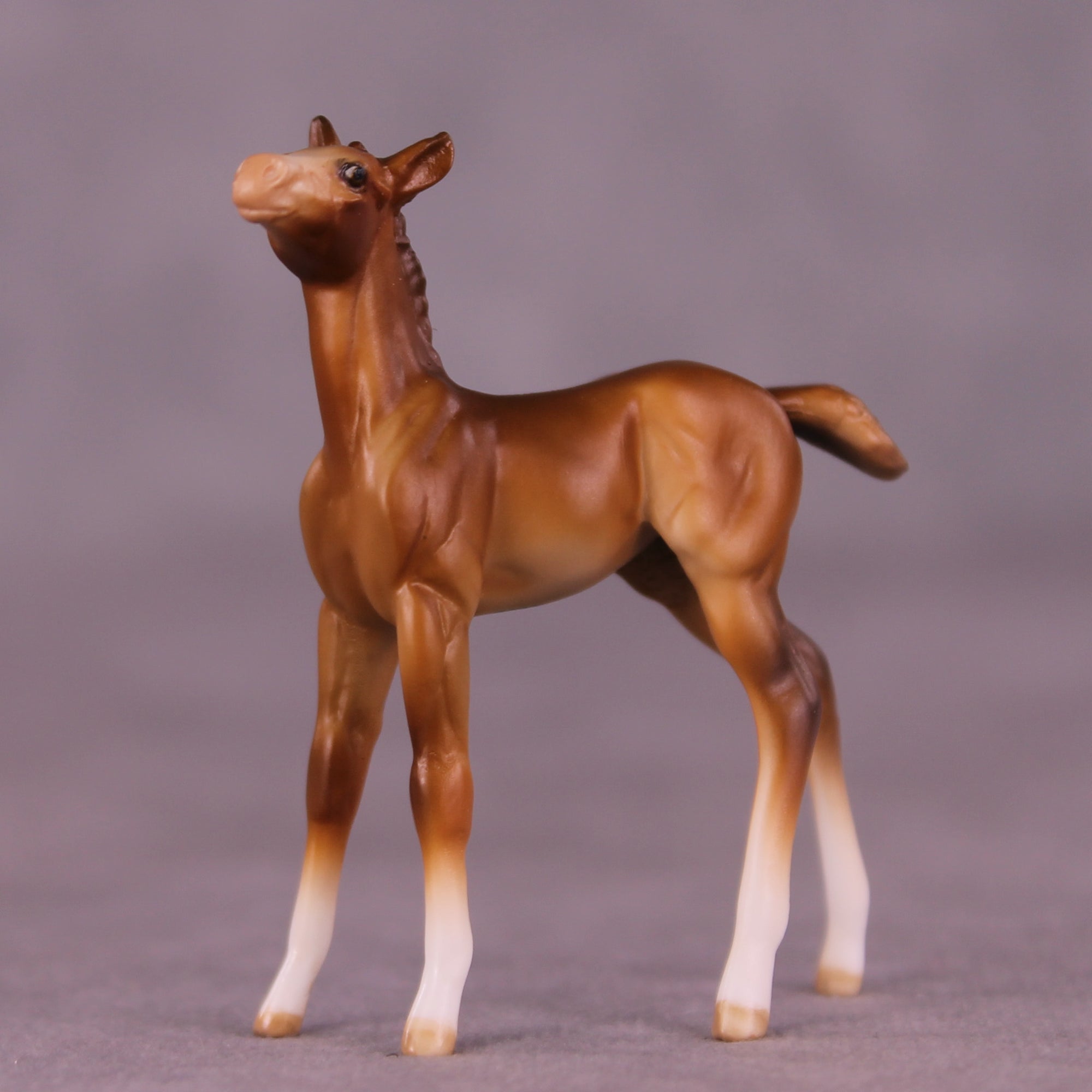 Paul OOAK Chip Foal by Julie Keim LHS25