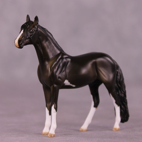 "All Star" OOAK Andalusian Chip by Julie Keim  EQ25