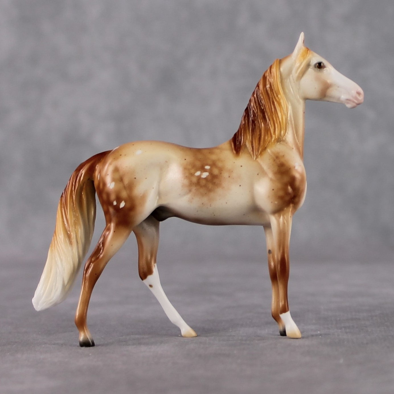 Morgan Chip Grab Bag - January 2025 We've Got History Shakespeare Chips Painted By Ellen Robbins CL25