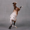 Go For It OOAK Appaloosa Rearing Pebble By Ellen Robbins LHS24