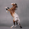 Go For It OOAK Appaloosa Rearing Pebble By Ellen Robbins LHS24