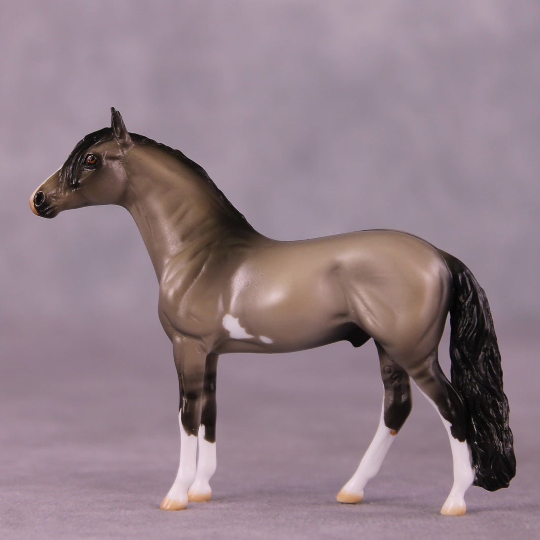 "Andre" OOAK Andalusian Chip by Julie Keim EQ25