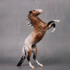 Go For It OOAK Appaloosa Rearing Pebble By Ellen Robbins LHS24