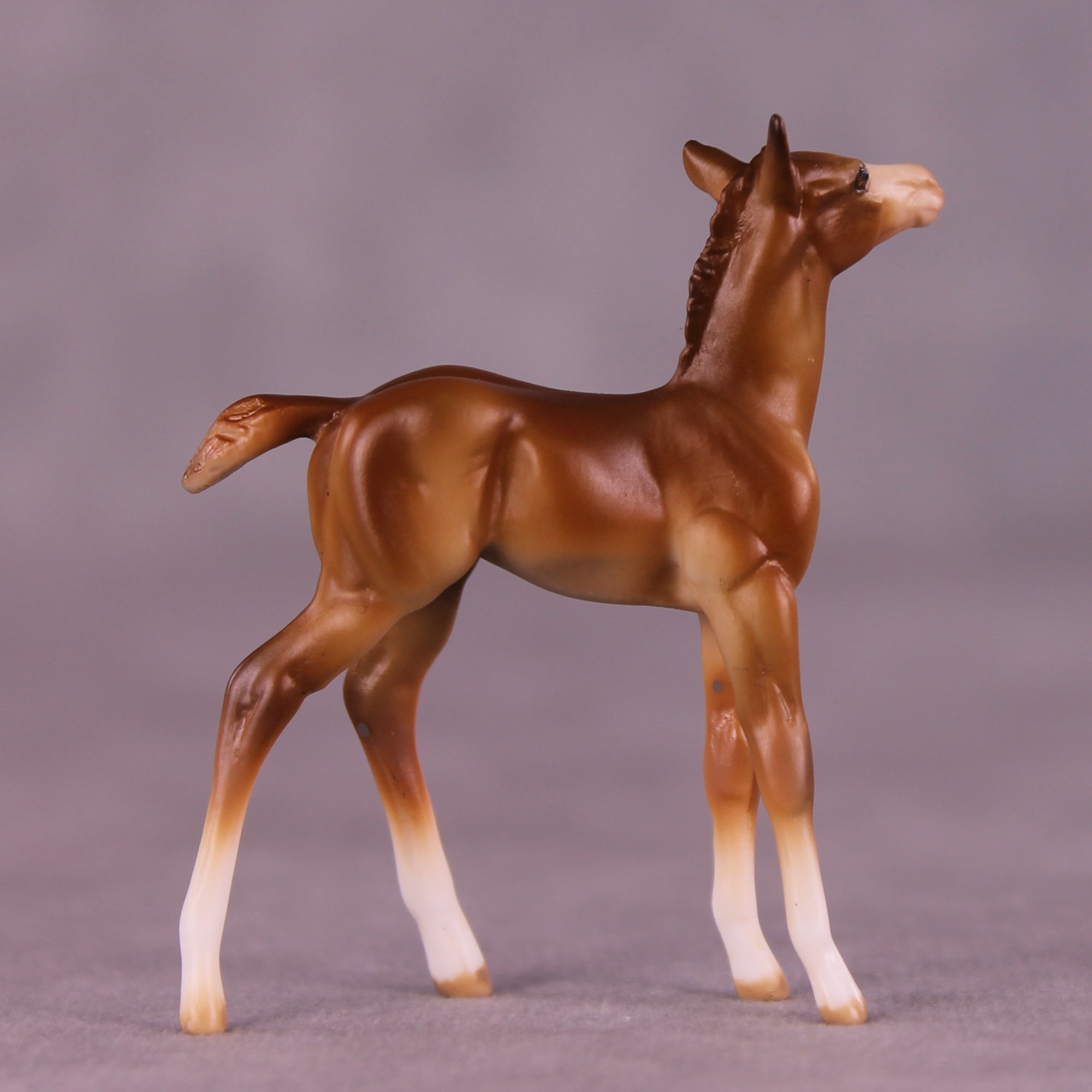 Paul OOAK Chip Foal by Julie Keim LHS25