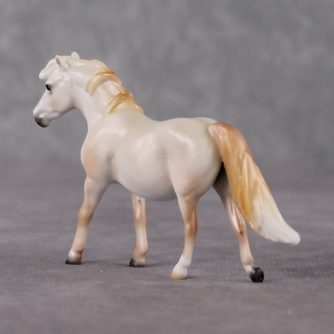 Pony Chip Grab Bag - January 2025 We've Got History Shakespeare Chips Painted By Ellen Robbins CL25