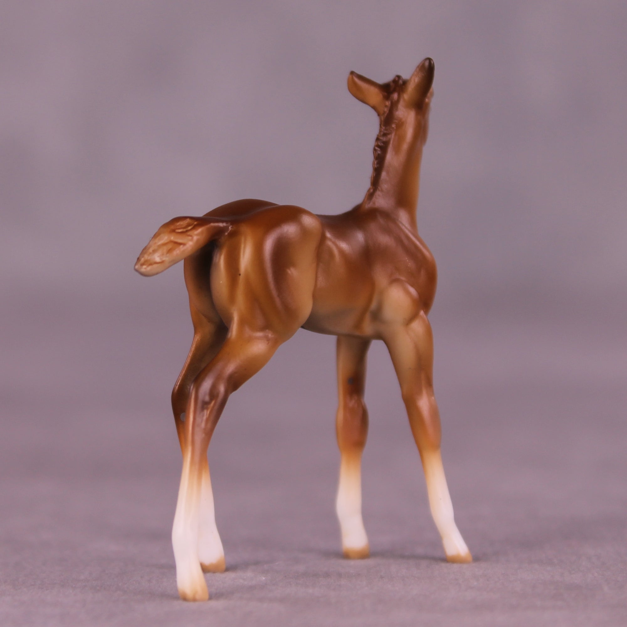 Paul OOAK Chip Foal by Julie Keim LHS25