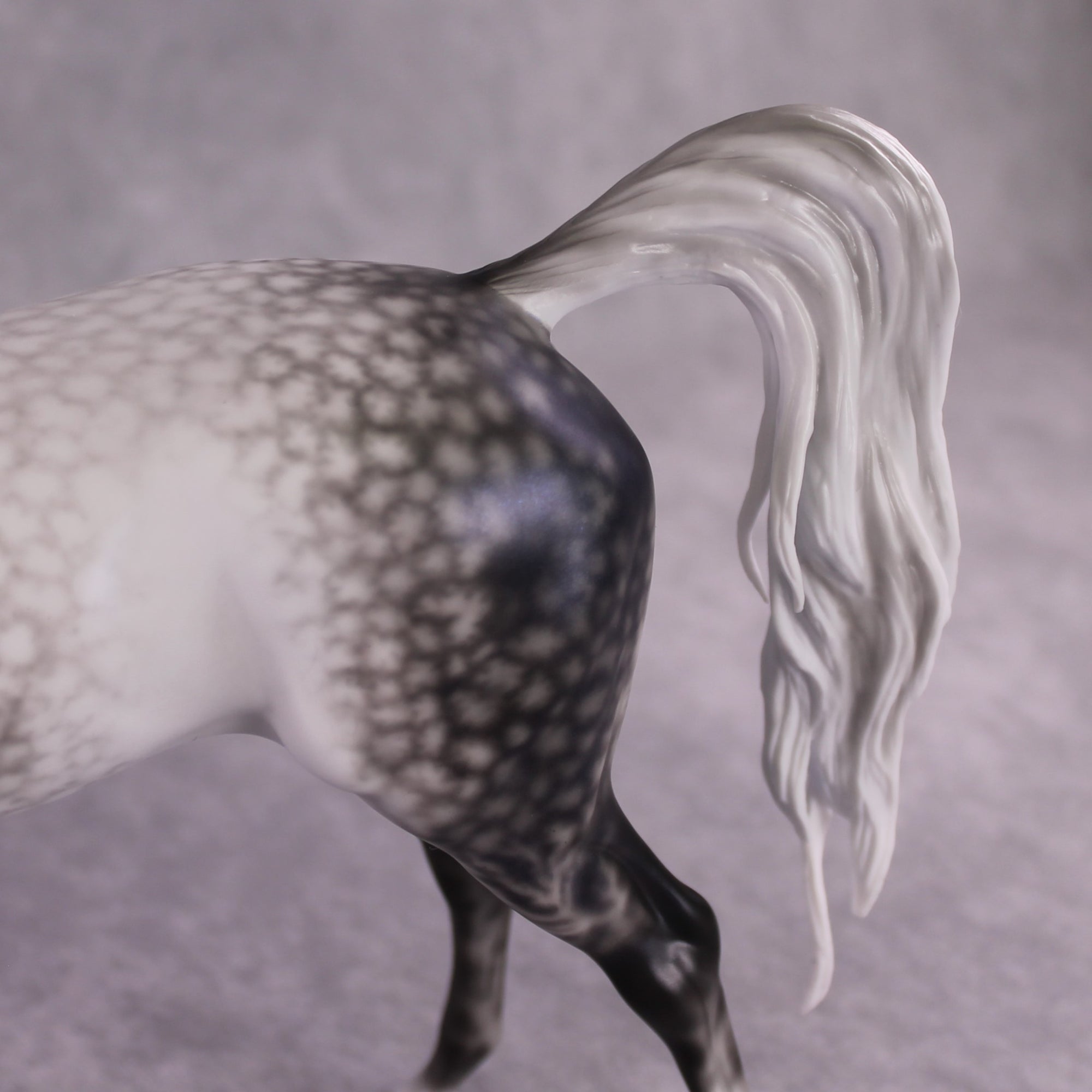 "Tempest" Best Offer FCM Arabian By Ellen Robbins 04/22/2025