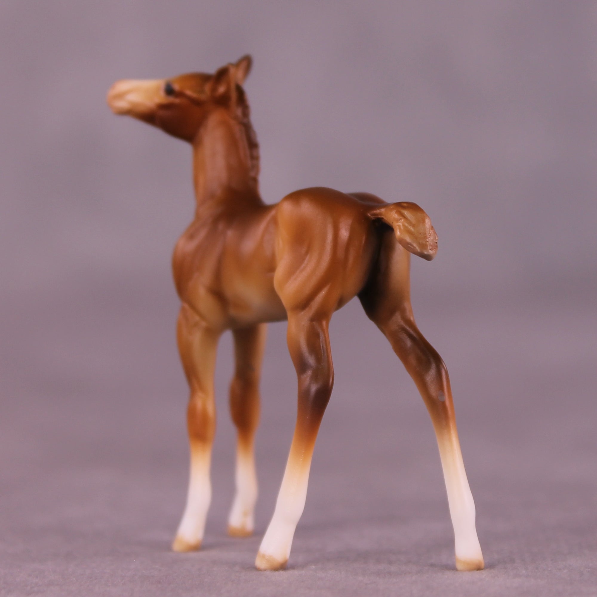 Paul OOAK Chip Foal by Julie Keim LHS25