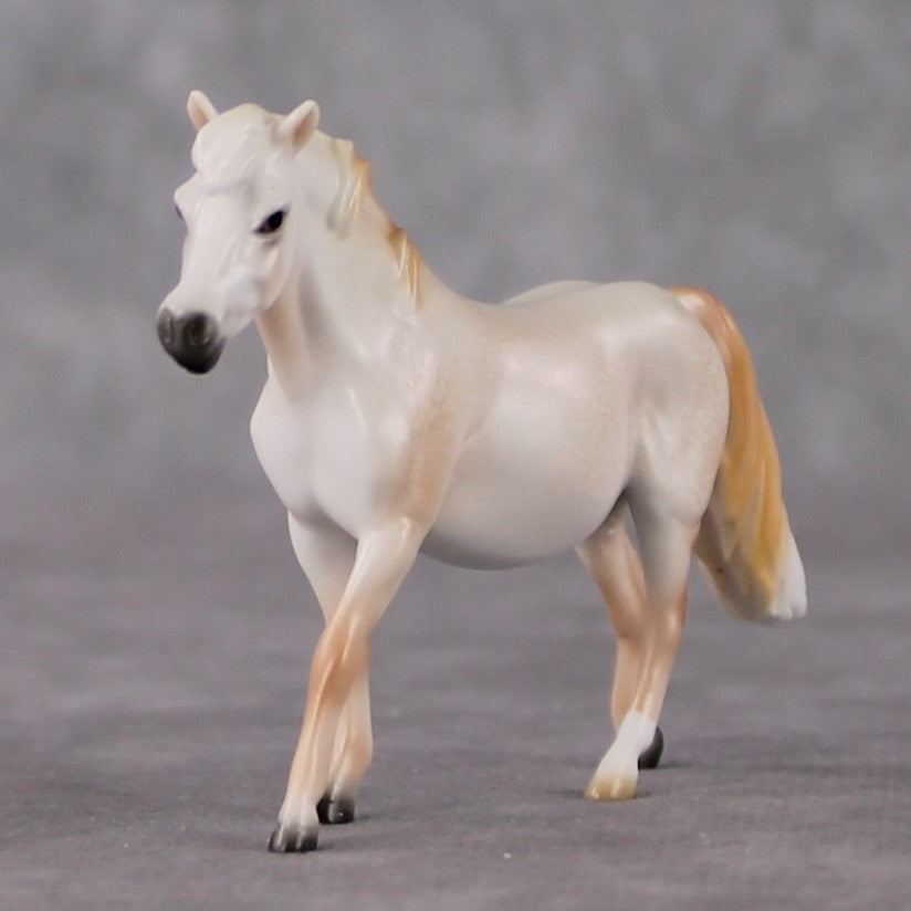 Pony Chip Grab Bag - January 2025 We've Got History Shakespeare Chips Painted By Ellen Robbins CL25